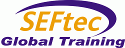 1300223164 seftek